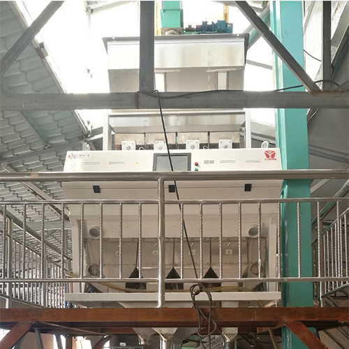 zx6 trieuse de couleur RVB pour les haricots au Myanmar