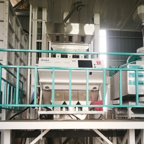 trieur de couleur de riz gluant zx3 installé