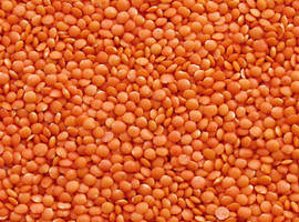 trieur de couleur de lentilles